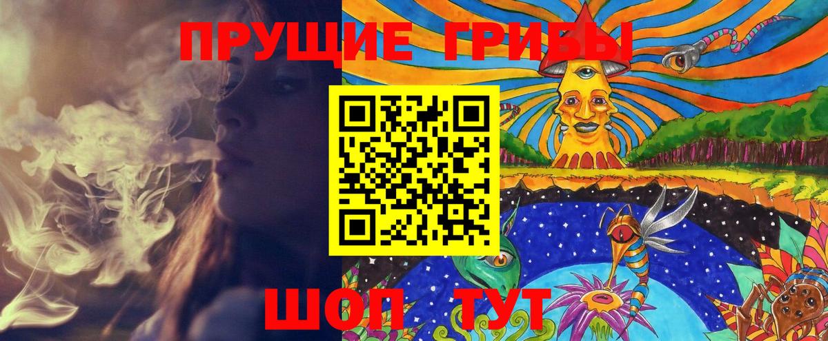 Псилоцибиновые грибы GOLDEN TEACHER  Вход с VPN  купить закладку  Костомукша 